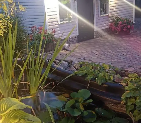 Hébergement de vacances гостинный дом натали Odessa